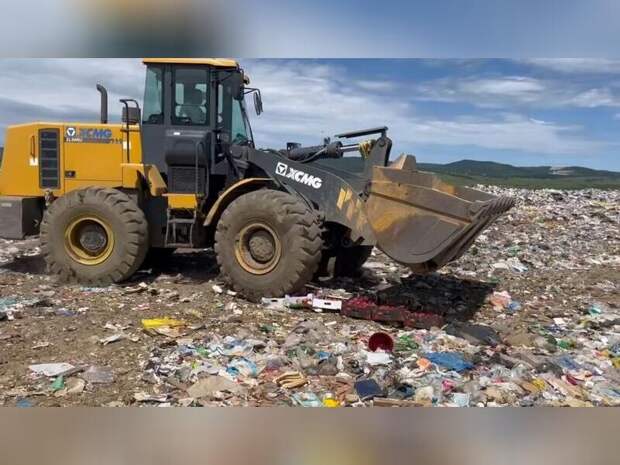 Около центнера яблок раздавили трактором на городской свалке