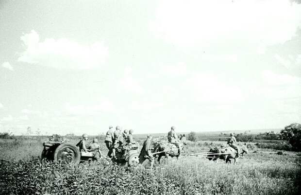 Советские артиллеристы и 76-мм полковая пушка образца 1927 года (на конной тяге) движутся по полевой дороге. Артиллерия РККА, Великая Отечественная война, история