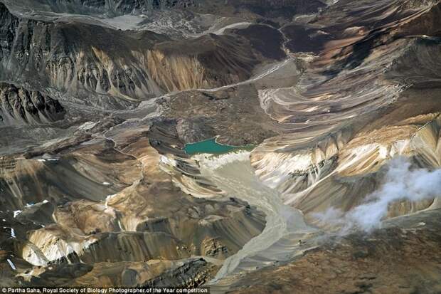 Изумрудно-зеленое ледниковое озеро с высоты 9 000 метров. Это место - тоже по-своему "скрытый мир". Кашмир, Индия. Фотограф Парта Саха биология, макроснимки, макросъёмка, микрофотографии, микрофотография, претендент, фотоконкурс, фотоконкурсы. природа