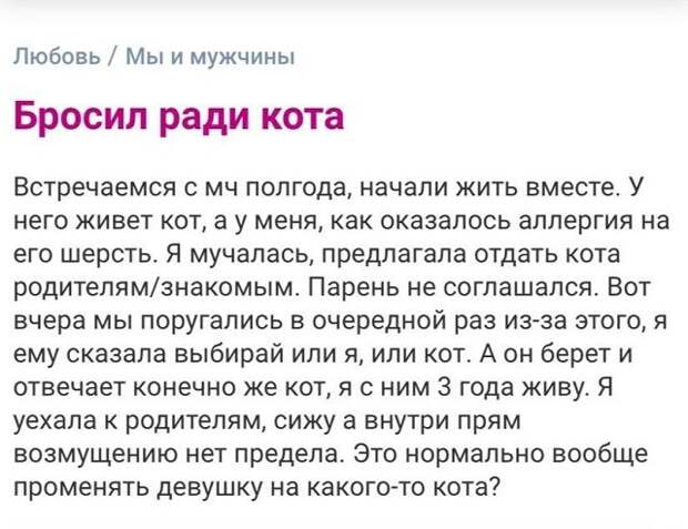 вопрос про кота