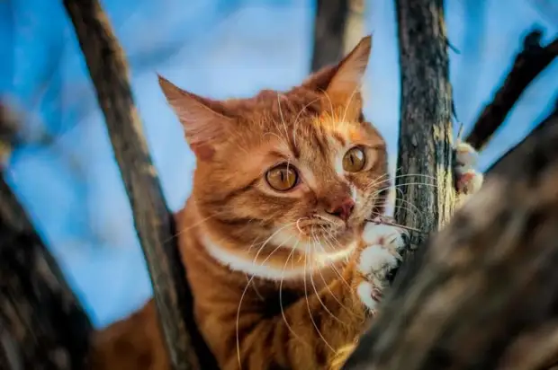 Почти летняя погода ожидается сегодня в Приморье
