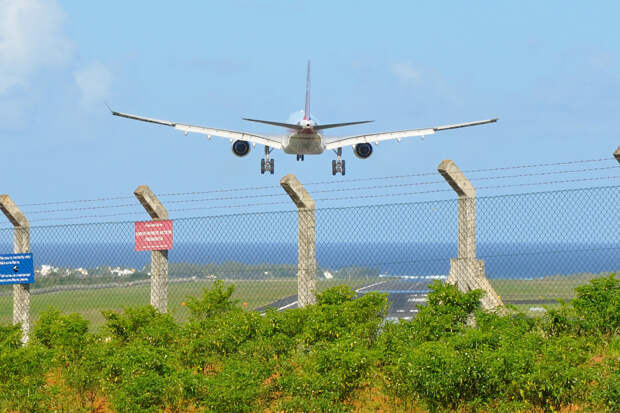 Путешественники попались в аэропорту Маврикия с марихуаной на 319 миллионов рублей