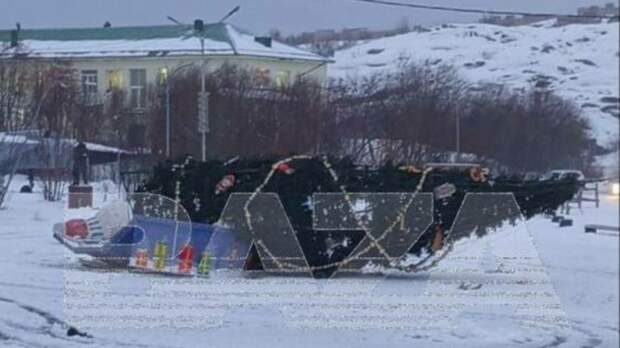 В Мурманской области штормовой ветер снес недавно установленные новогодние елки