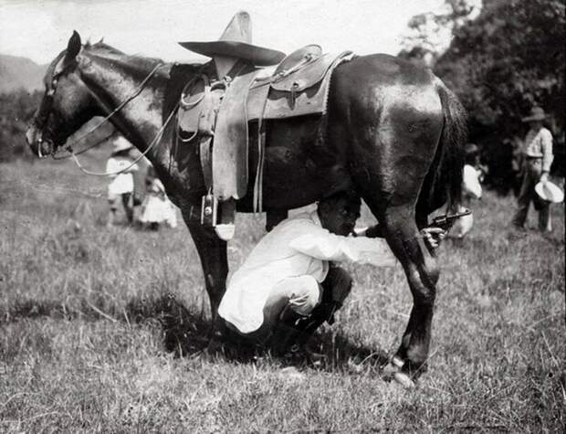 Тактическая хитрость солдат во время Мексиканской революции. 1913 год история, ретро, фото