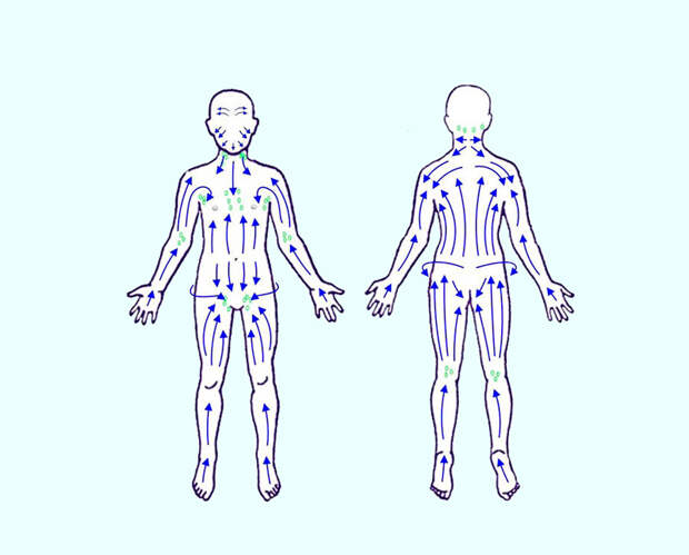 Признаки засоренной лимфатической системы и 10 способов ее очистки