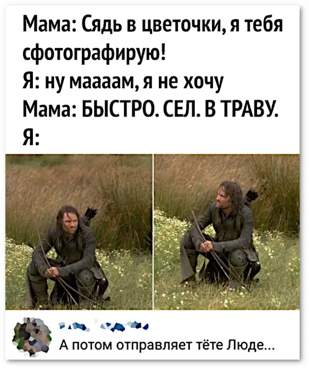 изображение: Мама: - Сядь в цветочки, я тебя сфотографирую! Я: Ну, мааам! Я не хочу! Мама: Быстро. Сел. В траву. Я: - А потом отправляет фото тёте Люде... #Прикол