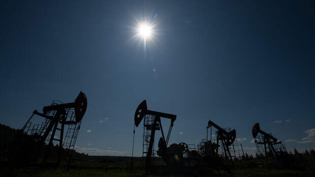 Посол Индии объяснил закупки российской нефти привлекательной ценой