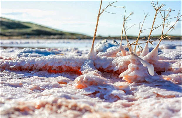 Красный и розовый цвет соль получает благодаря микроводорослям.  Фото: Сергей Анашкевич.