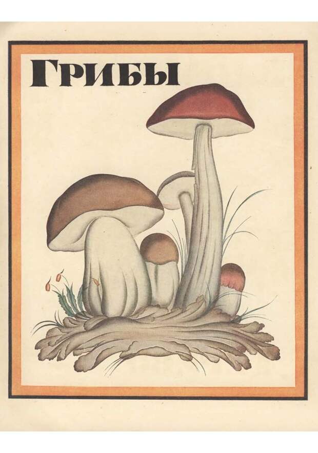Азбука в рисунках В. Конашевича. 1918