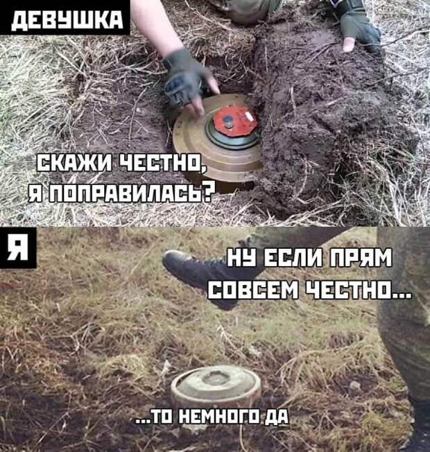 Подборка прикольных картинок (30 фото)