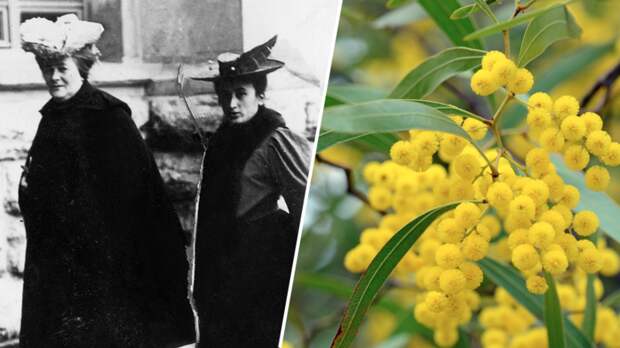 От 16-часового рабочего дня до тюльпанов и мимозы: история 8 Марта