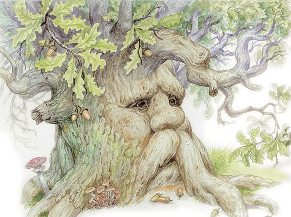 Русские добрые духи. Леший Диадох. Л. Н. толстой «дуб и орешник».. Сказочное дерево. Дуб рисунок.