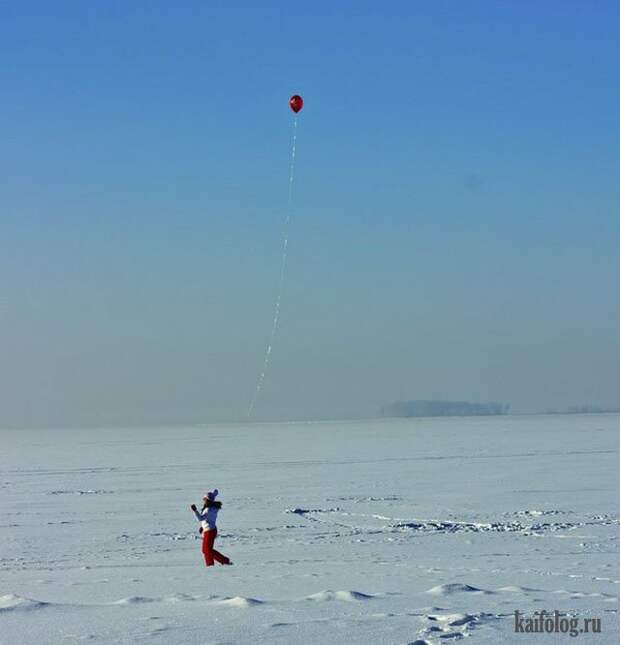 Приколы (55 фото)