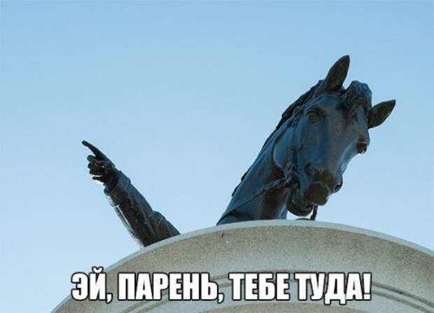 Смешные пятничные анекдоты (15 шт)