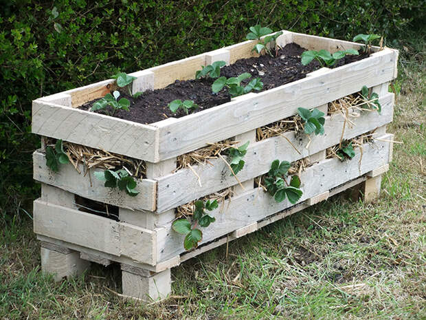 Если поставить в саду старые деревянные ящики и посадить в них цветы, твой участок сразу преобразится.