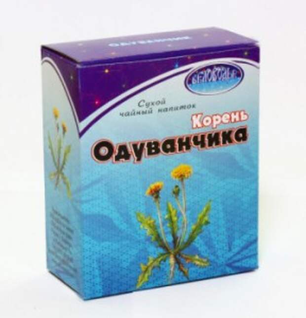 корень одуванчика