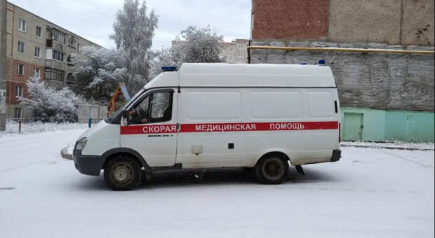 В Подмосковье изолировали всех контактировавших с больным оспой обезьян