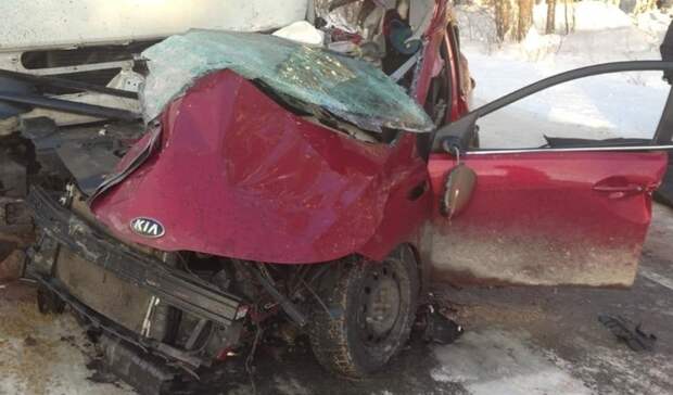 Мелик-Гусейнов рассказал о дальнобойщике, спасшем пострадавших в ДТП детей