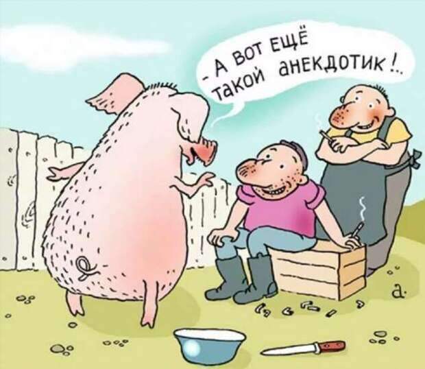 Неадекватный юмор из социальных сетей. Подборка chert-poberi-umor-chert-poberi-umor-32300504012021-3 картинка chert-poberi-umor-32300504012021-3