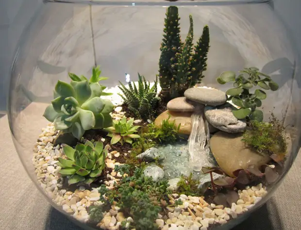 Флорариум своими руками: пошаговый мастер-класс по созданию потрясающего мини-сада за стеклом