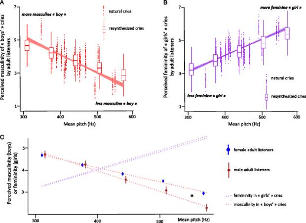 Интерпретация пола плачущего младенца взрослыми слушателями определяется высотой звуков. Красные точки/коробочки - испытуемые слушали настоящие/ресинтезированные плачи мальчиков, ордината - "маскулинность" плача, вероятность приписывания его мальчику. Фиолетовые линии/коробочки - то же самое для слышавших плач девочек, ордината - "феминность" плачей. с. Разность в оценке маскулинности (красный пунктир) и "феминности" плачей в зависимости от F0 у слушателей-мужчин (красные столбцы с усами) и женщин (синие).  Тенденции изменения интерпретаций одни и те же, несколько различается угол наклона регрессий