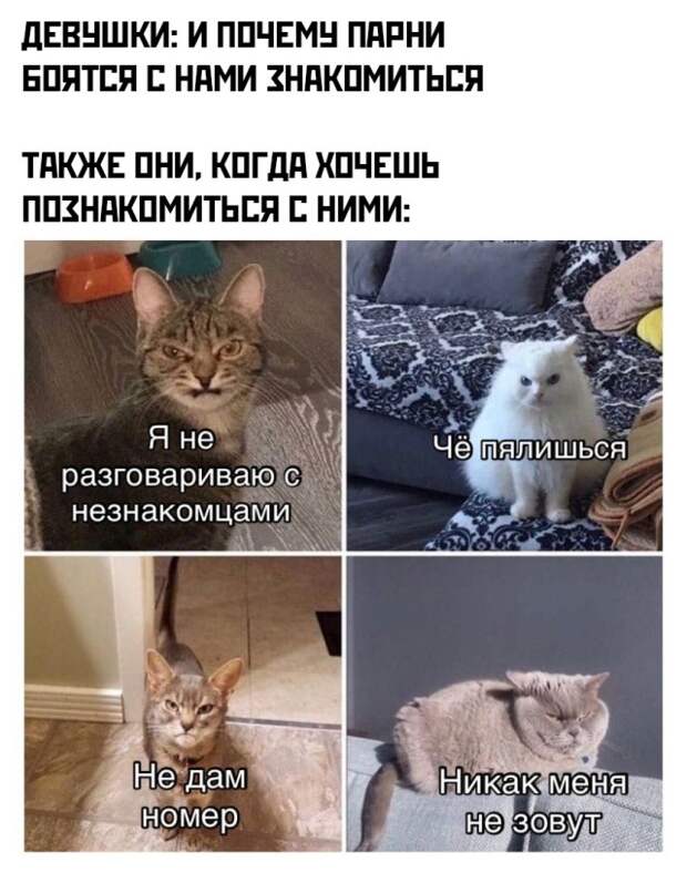 Смешные картинки 8 июня 2021
