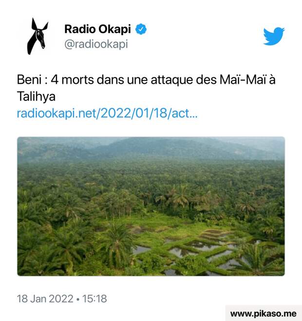 4 человека убиты при нападении повстанцев на охрану гидроэлектростанции в городе Бени, Демократическая республика Конго