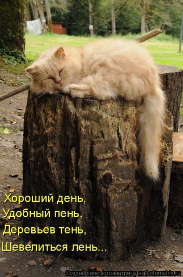Мысли вслух :)