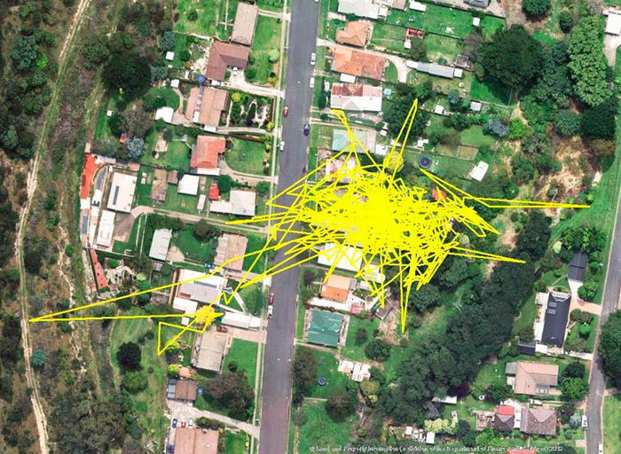 Куда ходит ваша кошка ночью: GPS-анализ похождений Куда ходит ваша кошка ночью: GPS-анализ похождений