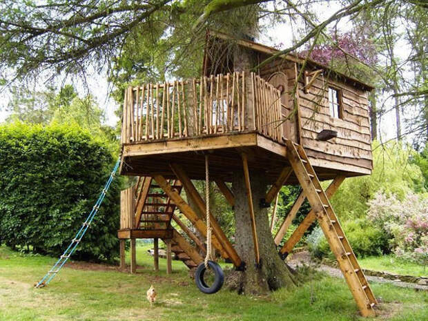 Компания Amazon Tree Houses создает удивительные уютные дома высоко над землей (15 фото - 1,74.Mb)