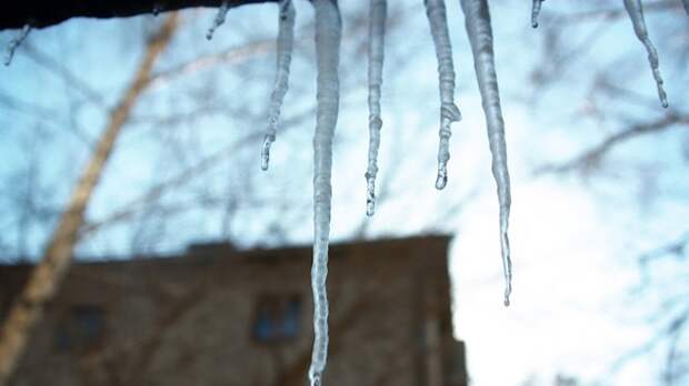 Сколько в Алтайском крае продлятся 40-градусные морозы и когда придет потепление?