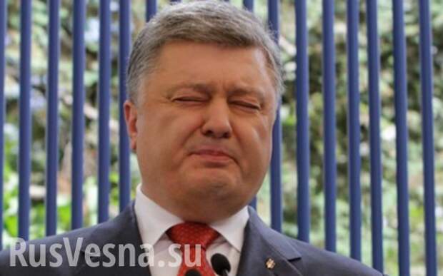 Порошенко забыл, что у Украины нет исторического места в составе Европы, — Пушков | Русская весна