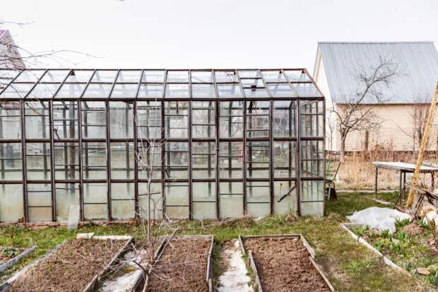 Эксперт Свечникова объяснила, что можно выращивать на участке ИЖС