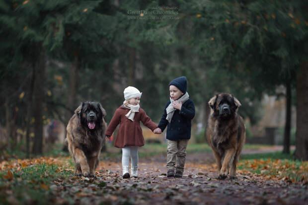 Энди Селиверстов фотографии детей и их больших собаках 16
