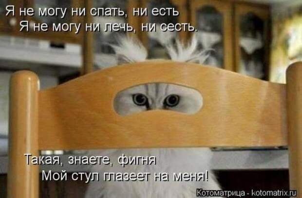 Котоматрицы(картинки с надписями)