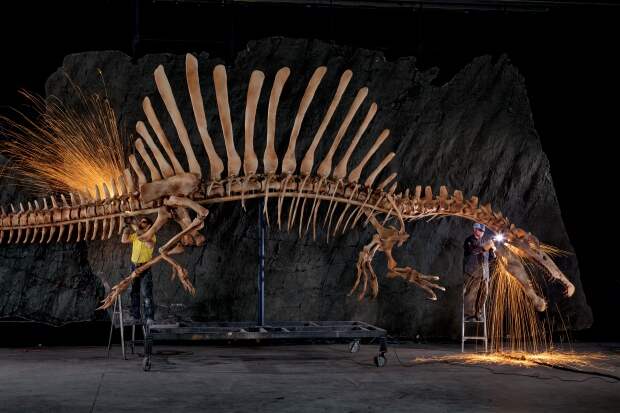 Spinosaurus National Geographic Exhibit