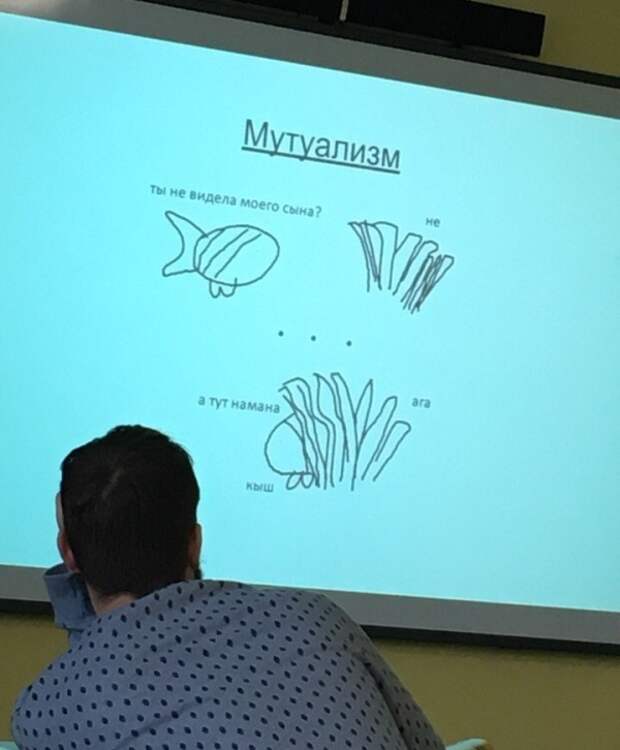 www.vsyako.net