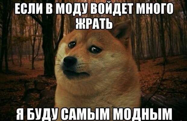 Прикольные картинки (104 фото)