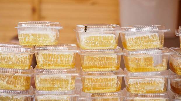 Перга вместо конфет и сладкий сон: как выбрать, хранить и использовать мед