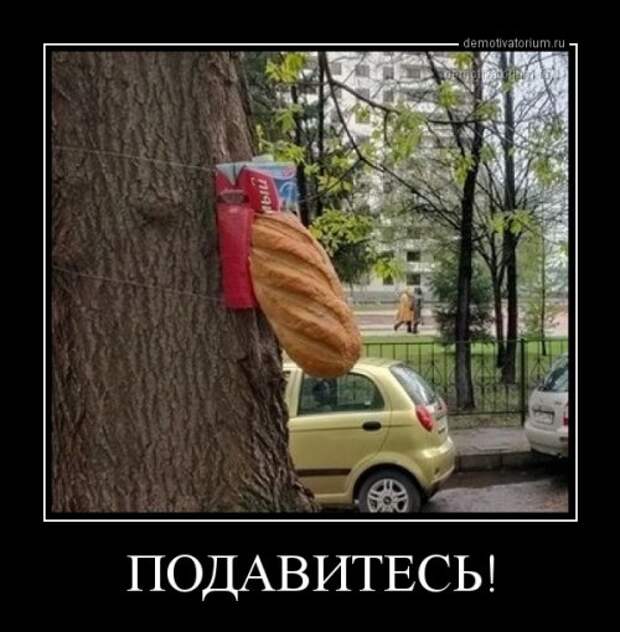 Прикольные демотиваторы для всех (14 шт)