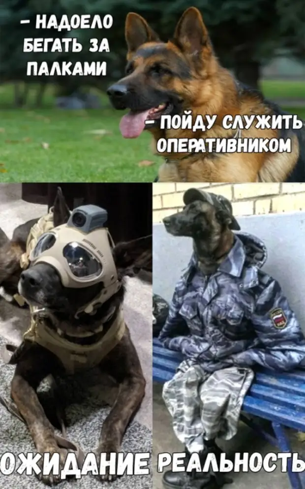 высказывание великих актеров. высказывания знаменитых актёров. кардио упражнение мемы. танцевальный марафон фонда «лучшие друзья» 2023 касперский. надоело бежать.