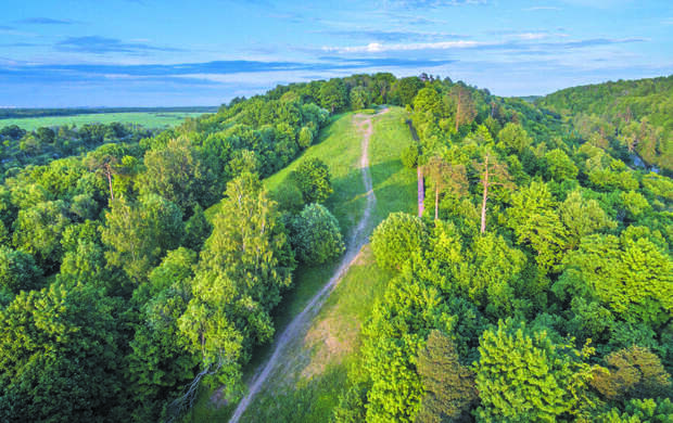 От орхидей до болота: шесть экотроп появится в Петербурге