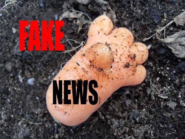 Fake News