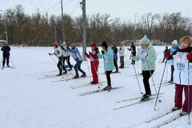 Судьи Тамбовской области вышли на лыжню