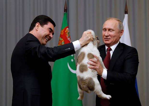 Что может покорить сердце Путина? ввп, путин, собака - друг человека