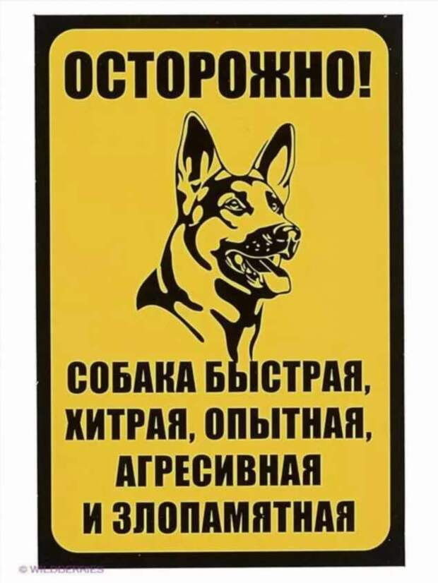 Предупреждающие таблички. Прикольные. Подборкаchert-poberi-tablichki-27521212082020-10 картинка chert-poberi-tablichki-27521212082020-10