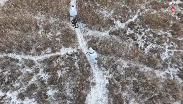 "Волки да Винчи" сложили оружие в Запорожье после операции штурмовиков ВС России