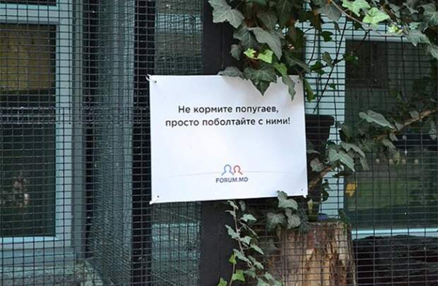 Добро пожаловать в зоопарк! Добро пожаловать в зоопарк!