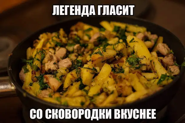 Веселые картинки с надписями со смыслом (12 фото) Веселые картинки с надписями со смыслом (12 фото)