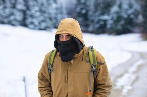 Немцев предупредили об аномальных морозах до конца февраля